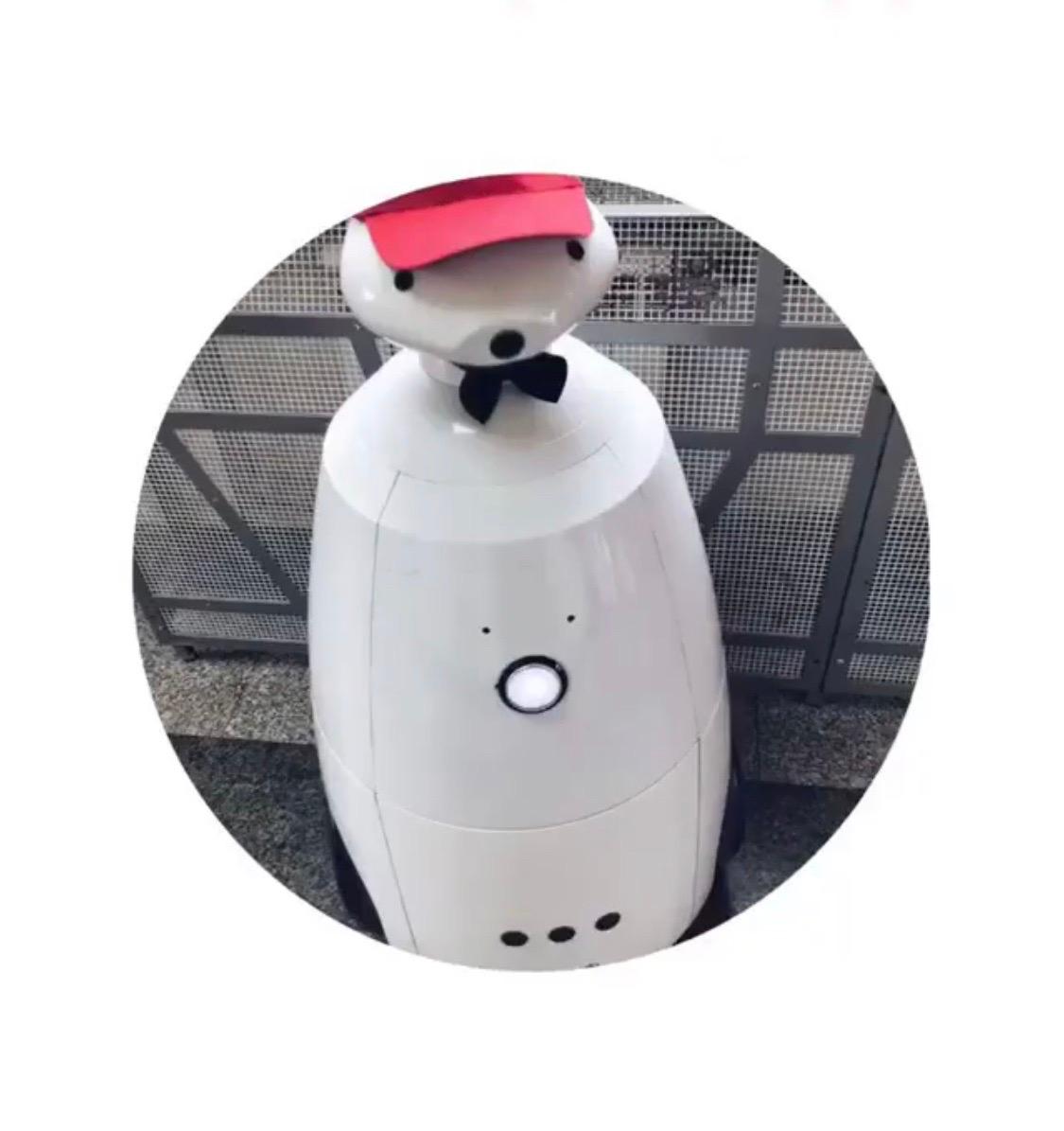 Робот R - Bot
